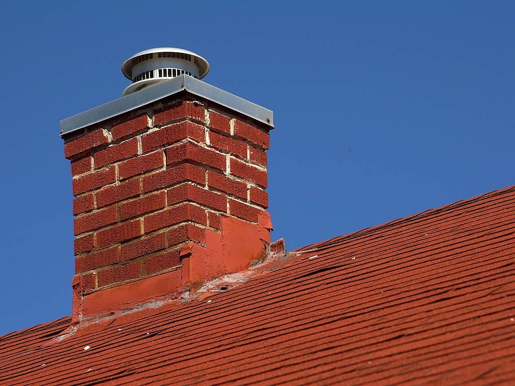 Squirrel Nest in Chimney – What to Do