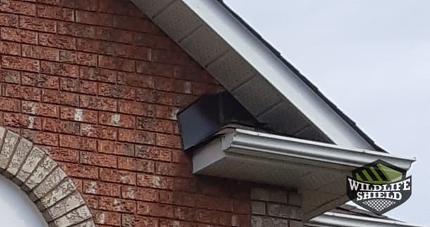 Roof-Soffit Intersection Entry Point