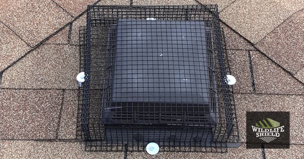 Roof Vent Cover Galvanized Steel Mesh 