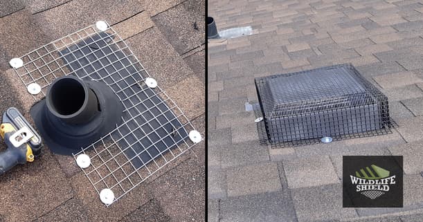 Plumbing vents and roof vents galvanized steel mesh.