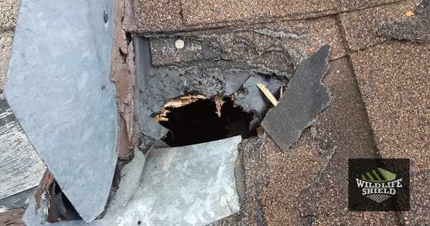 large hole found at the base of the chimney on the roof