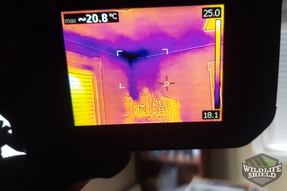 Thermal Camera Inspection Ceiling