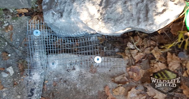 galvanized steel mesh sealing hole