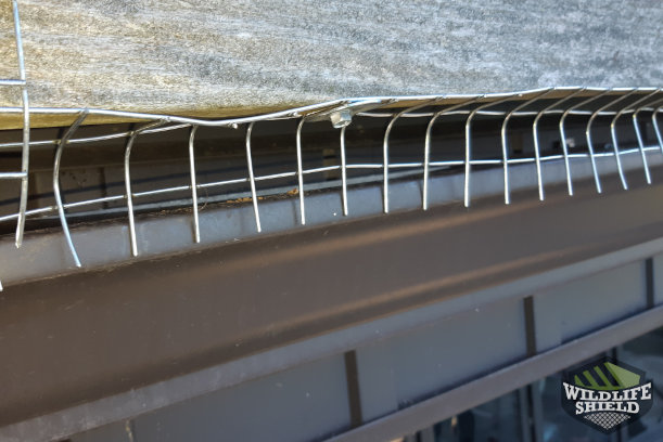 Roof Edge Exclusion Steel Mesh