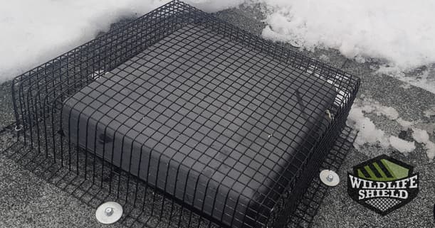 roof vent protected with rubber steel mesh