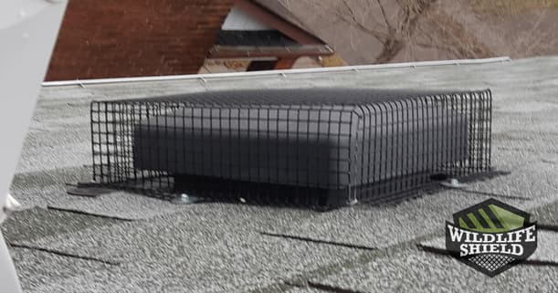 wildlife proofing roof vent sealed