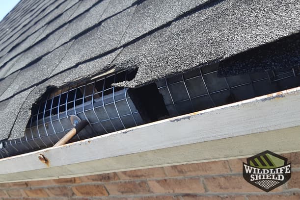 soffit-roof-intersection-sealed
