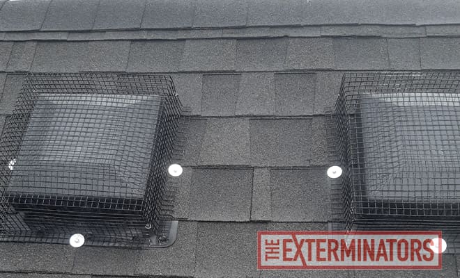 vent covers on roof in guelph