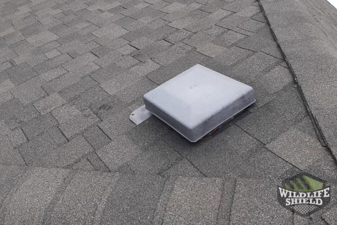 Roof Vent Entry Point