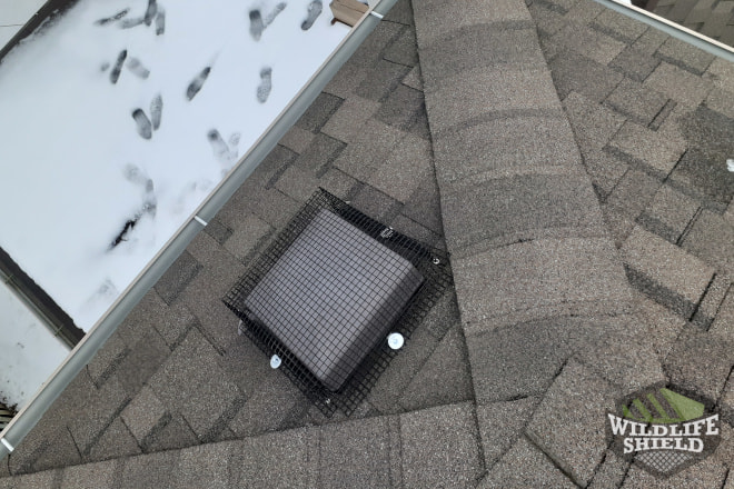 Roof Vent Excluded with Mesh