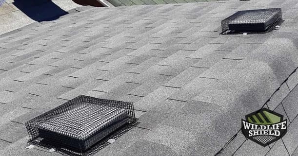 roof-vents-sealed-with-galvanized-steel-mesh