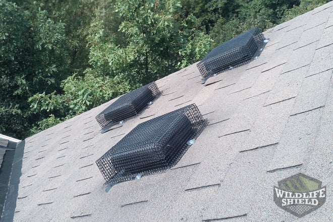 Roof Vents Covered with Mesh
