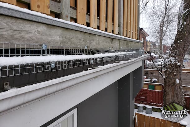 Deck Exclusion Steel Mesh Toronto