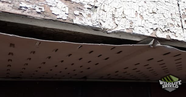 Soffit Gap Entry Point