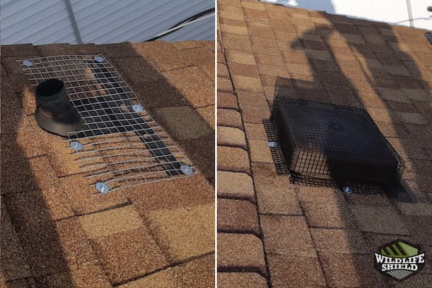 Wildlife-Proofing Roof Vents