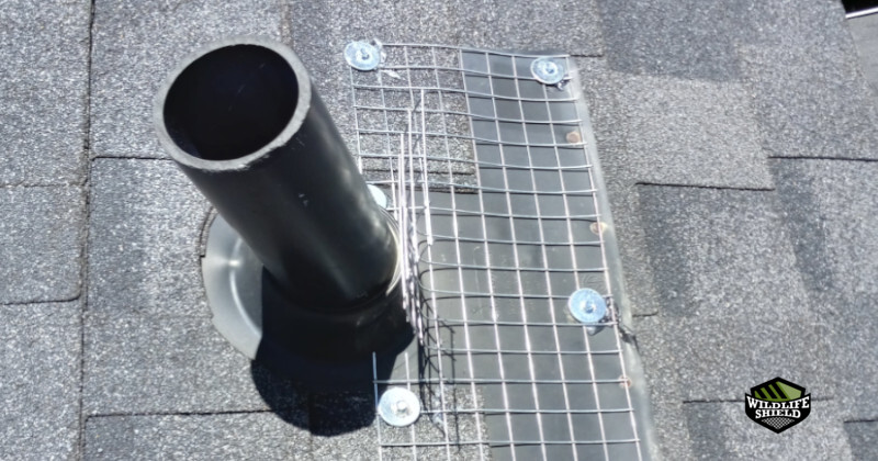 Plumbing vent covers were used to prevent animals from entering